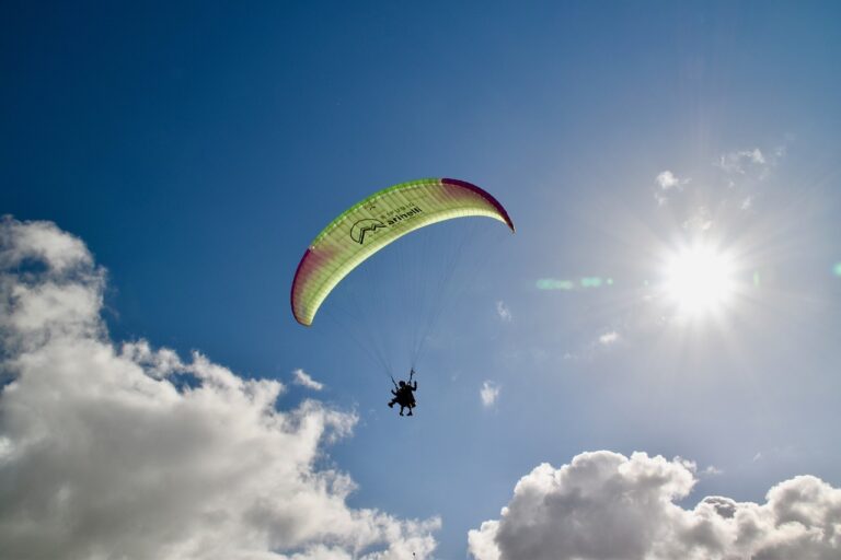 T20exchange Review: Transforming Cricket Betting with Innovative Features and Seamless Experience