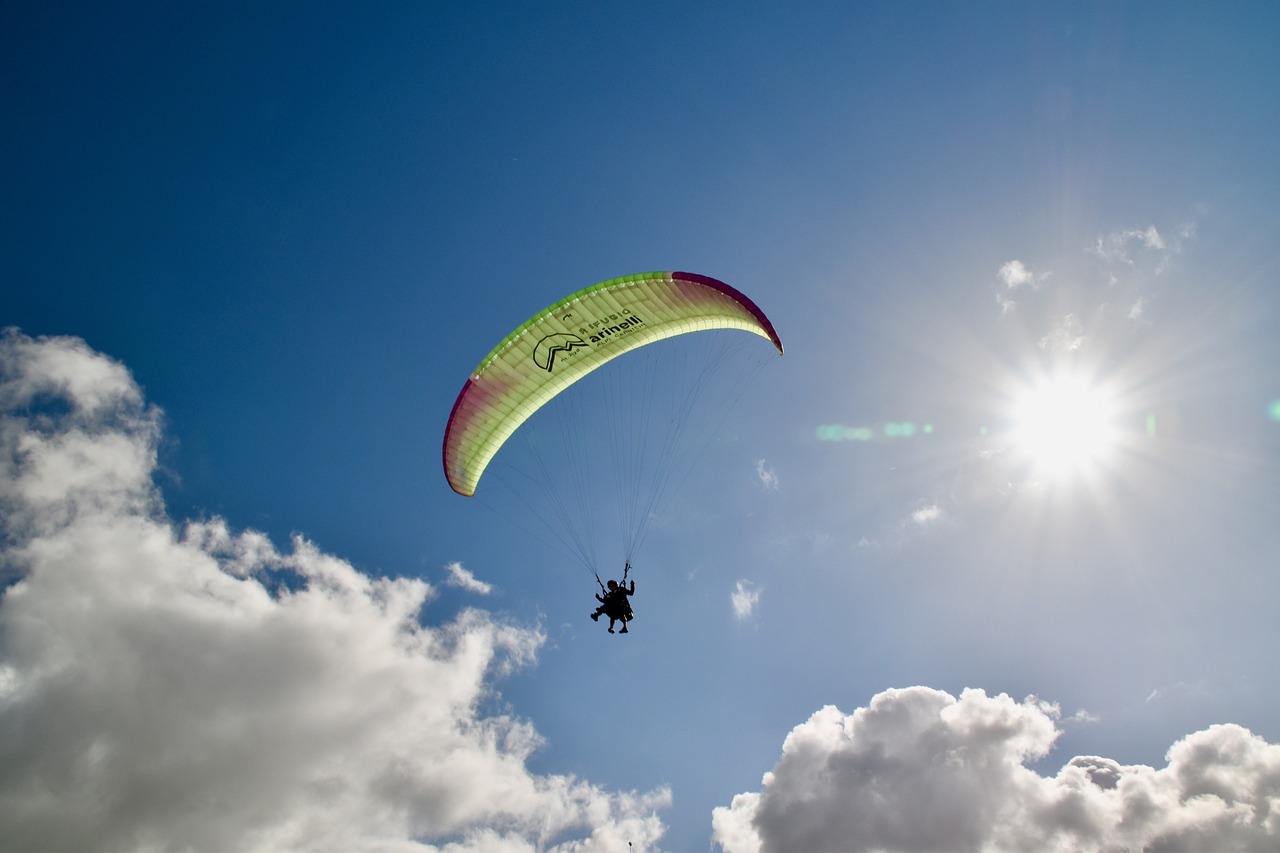 T20exchange Review: Transforming Cricket Betting with Innovative Features and Seamless Experience